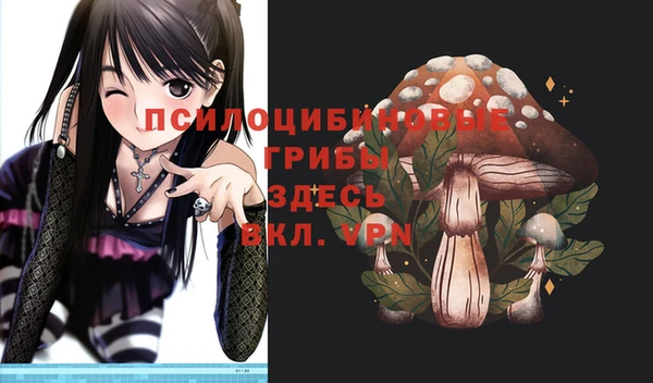 винт Баксан