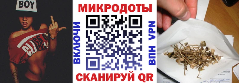 Купить  Павловск  Псилоцибиновые грибы Magic Shrooms 